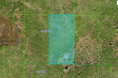 Terreno en Frostproof, Florida № 2202855