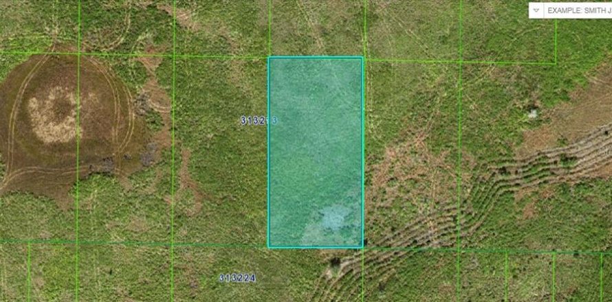 Terreno en Frostproof, Florida № 2202855