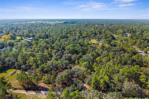 Terreno en venta en Homosassa, Florida № 1912196 - foto 14
