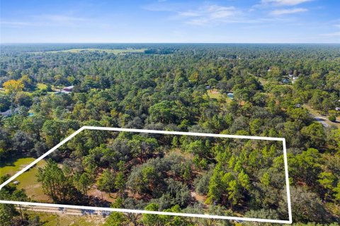 Terreno en venta en Homosassa, Florida № 1912196 - foto 15