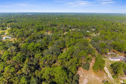 Terreno en venta en Homosassa, Florida № 1912196 - foto 12