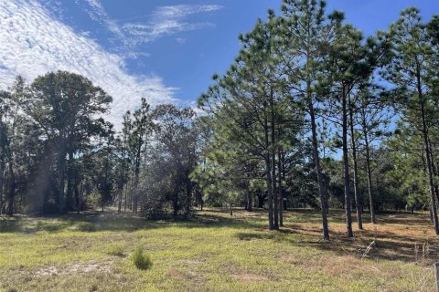 Terreno en venta en Homosassa, Florida № 1912196 - foto 3