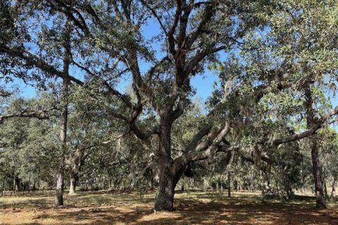 Terreno en venta en Homosassa, Florida № 1912196 - foto 2