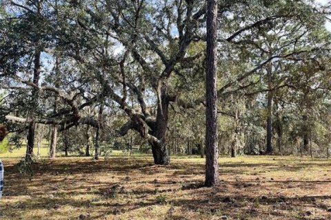 Terreno en venta en Homosassa, Florida № 1912196 - foto 5