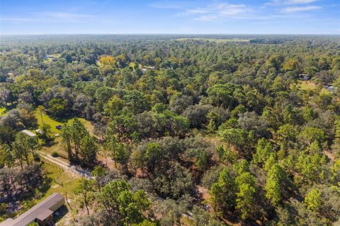 Terreno en venta en Homosassa, Florida № 1912196 - foto 8