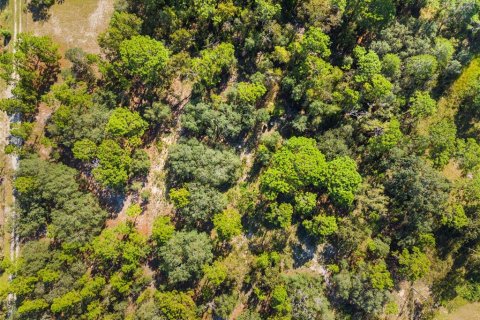 Terreno en venta en Homosassa, Florida № 1912196 - foto 10