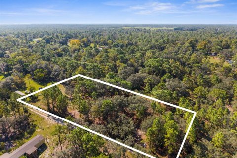 Terreno en venta en Homosassa, Florida № 1912196 - foto 1
