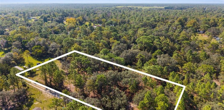 Terreno en Homosassa, Florida № 1912196