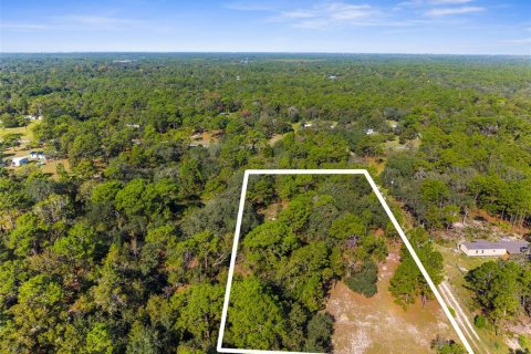 Terreno en venta en Homosassa, Florida № 1912196 - foto 9