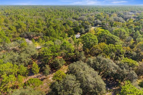 Terreno en venta en Homosassa, Florida № 1912196 - foto 11
