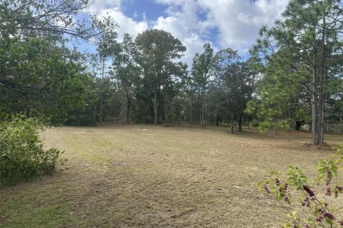 Terreno en venta en Homosassa, Florida № 1912196 - foto 4