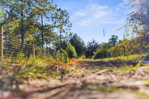 Terreno en venta en Homosassa, Florida № 1912196 - foto 6