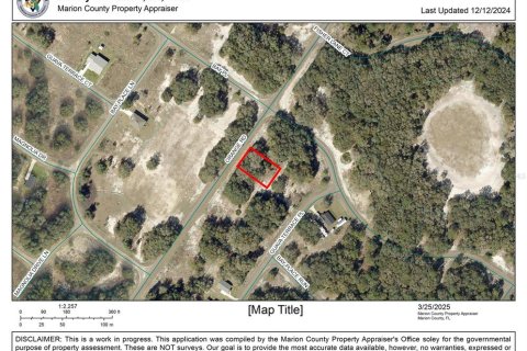 Land in Ocklawaha, Florida № 2163661
