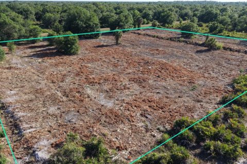 Terreno en Okeechobee, Florida № 2232391