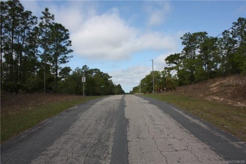 Terrain à vendre à Beverly Hills, Floride № 1675269 - photo 4