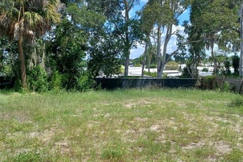 Casa en venta en Tarpon Springs, Florida, 2 dormitorios, 64.66 m2 № 2385849 - foto 18