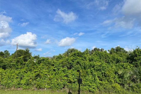 Land in Englewood, Florida № 2165512 - photo 2