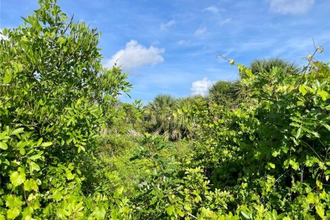Land in Englewood, Florida № 2165512 - photo 8