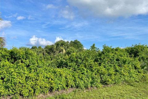 Land in Englewood, Florida № 2165512 - photo 6