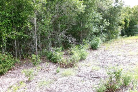 Land in Dunnellon, Florida № 2159140 - photo 5