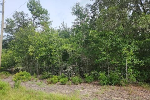 Land in Dunnellon, Florida № 2159140 - photo 4