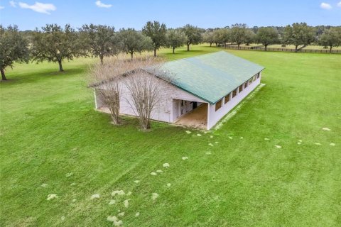 Land in Ocala, Florida № 2144058 - photo 9