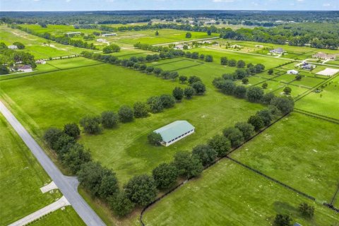 Land in Ocala, Florida № 2144058 - photo 10