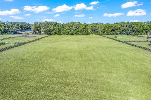 Land in Ocala, Florida № 2144058 - photo 3