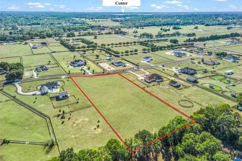 Land in Ocala, Florida № 2144058 - photo 2