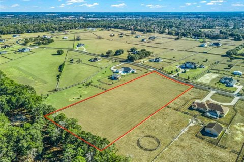 Land in Ocala, Florida № 2144058 - photo 5