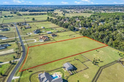 Land in Ocala, Florida № 2144058 - photo 8