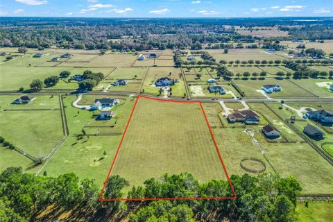 Land in Ocala, Florida № 2144058 - photo 4