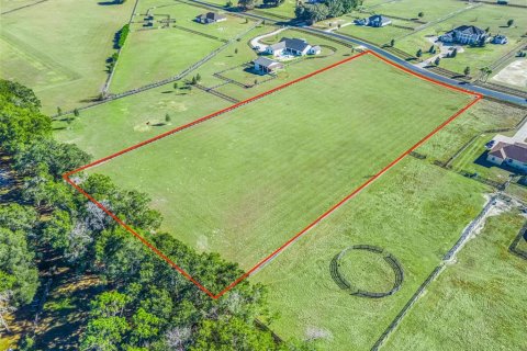 Land in Ocala, Florida № 2144058 - photo 6