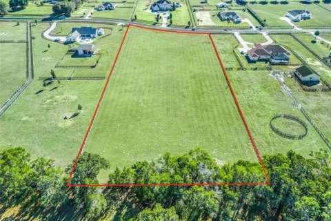 Land in Ocala, Florida № 2144058 - photo 7