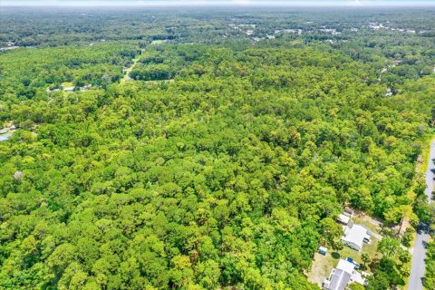 Land in Homosassa, Florida № 1832877 - photo 6