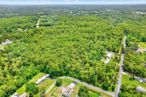 Land in Homosassa, Florida № 1832877 - photo 3