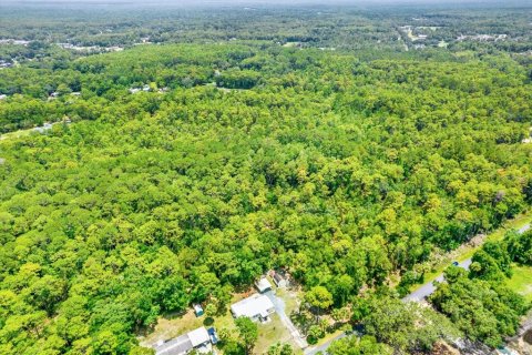 Land in Homosassa, Florida № 1832877 - photo 2