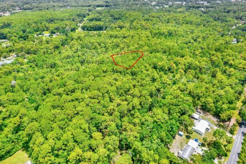 Land in Homosassa, Florida № 1832877 - photo 12