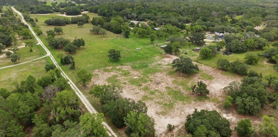Terrain à Homosassa, Floride № 2204470