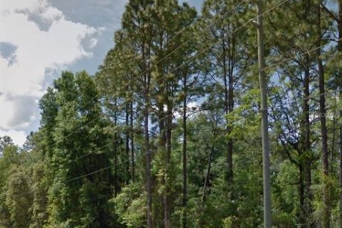 Land in Ocala, Florida № 1525868 - photo 2