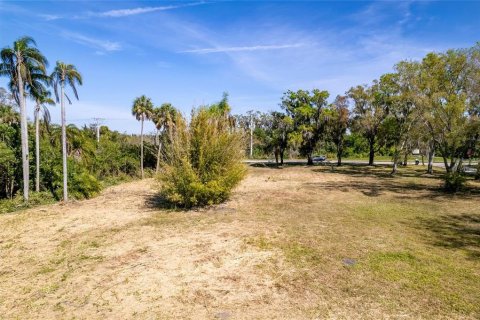 Land in Bradenton, Florida № 1421173 - photo 18