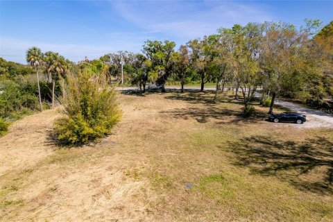 Land in Bradenton, Florida № 1421173 - photo 4