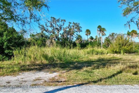 Land in Bradenton, Florida № 1421173 - photo 15