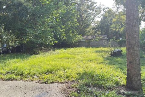 Land in Tampa, Florida № 1869477 - photo 4