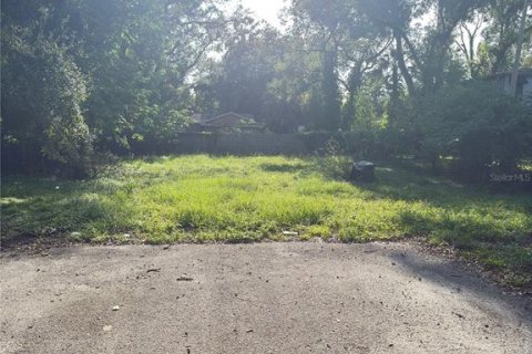 Land in Tampa, Florida № 1869477 - photo 1
