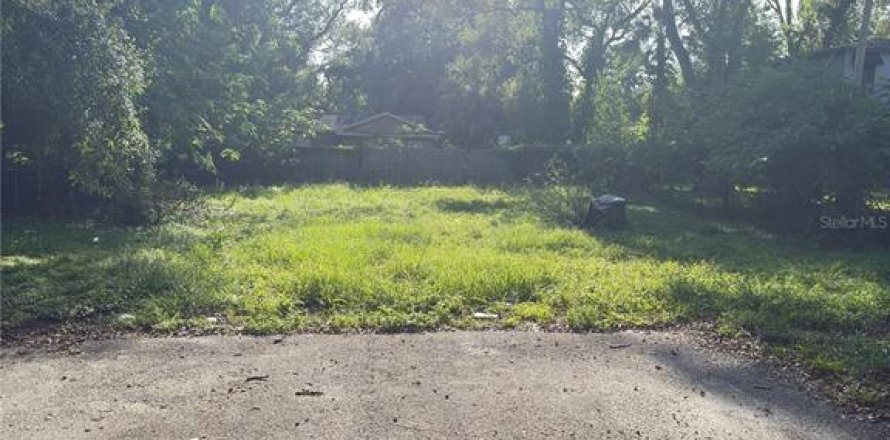 Land in Tampa, Florida № 1869477