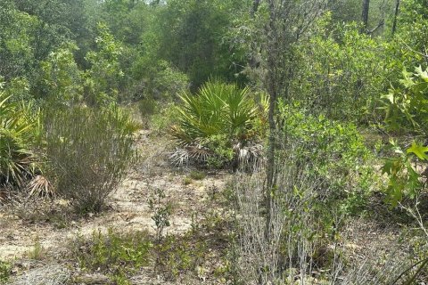 Land in Archer, Florida № 2161479 - photo 7