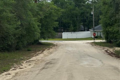 Land in Archer, Florida № 2161479 - photo 9