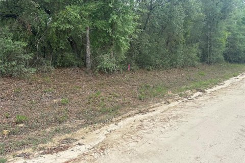 Land in Archer, Florida № 2161479 - photo 10