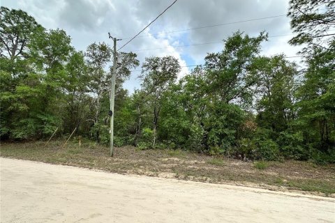 Land in Archer, Florida № 2161479 - photo 3